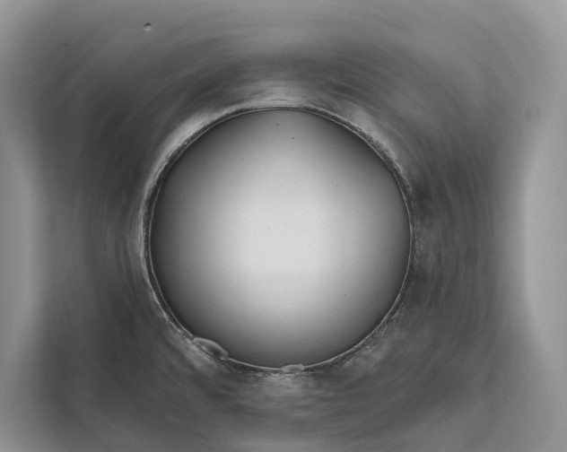 X0000112201480200908281429