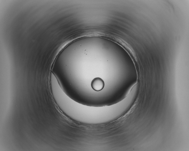 X0000112201481200908281429