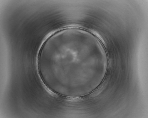 X0000112201482200908281429