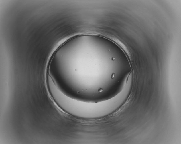 X0000112201485200908281429