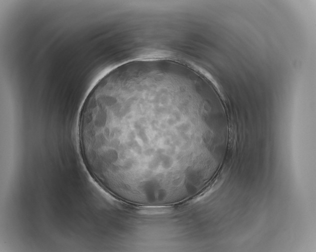 X0000112201487200908281429