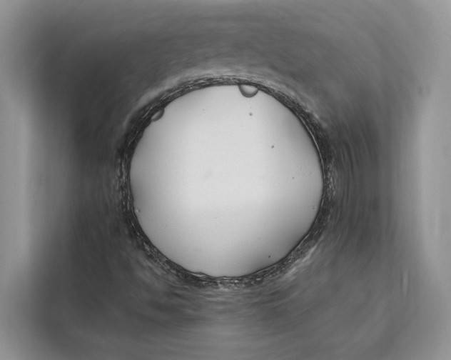 X0000112201494200908281429