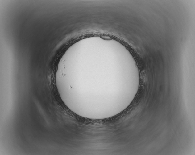 X0000112201495200908281429