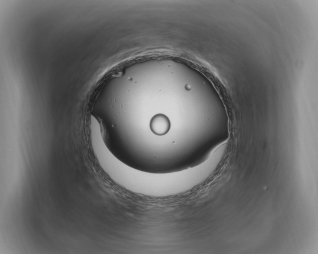 X0000112201496200908281429