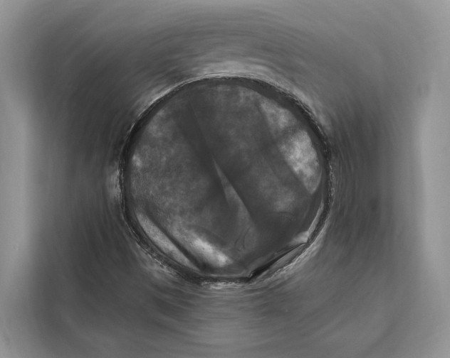 X0000112201497200908281429