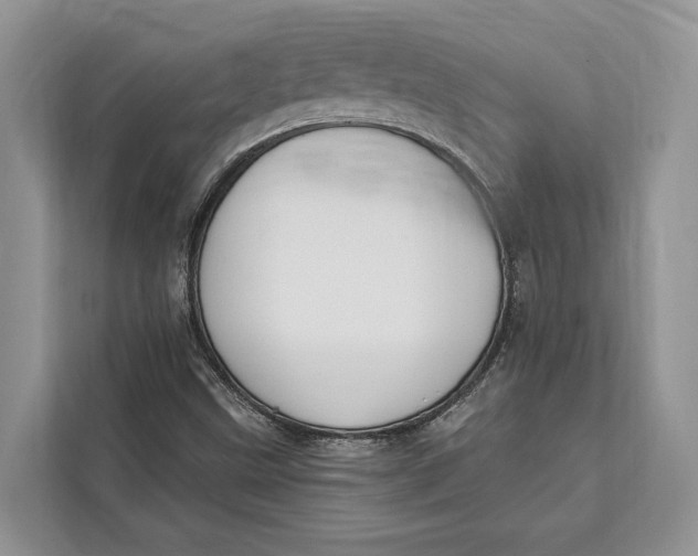 X0000112201499200908281429