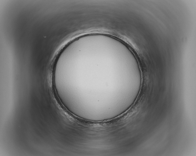 X0000112201504200908281429