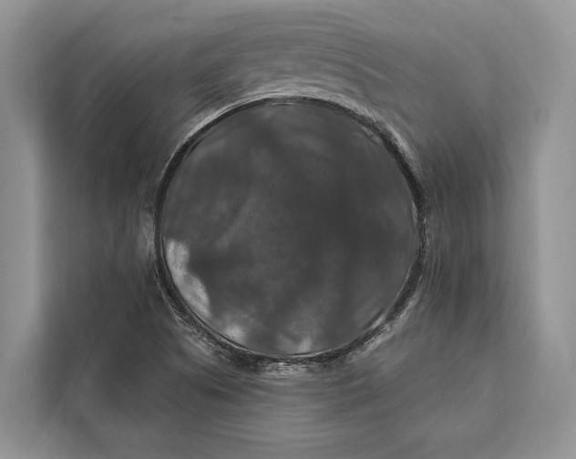 X0000112201505200908281429