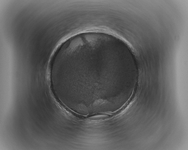 X0000112201506200908281429