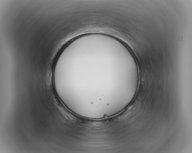 X0000112201507200908281429