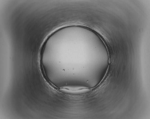 X0000112201508200908281429