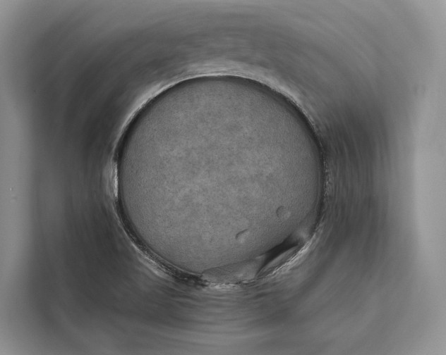 X0000112201509200908281429