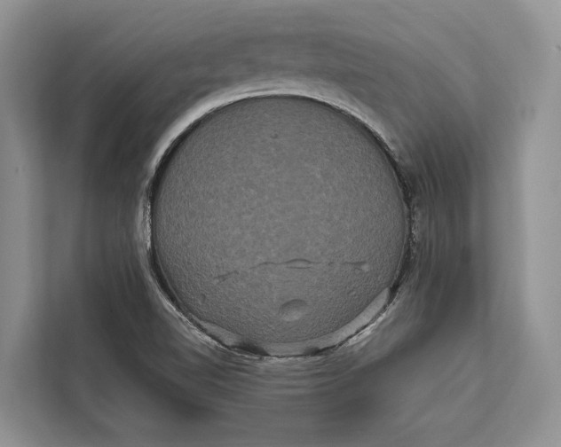 X0000112201510200908281429