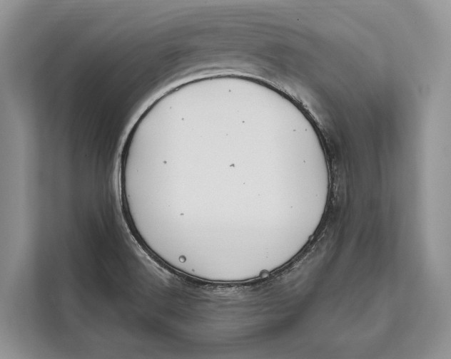 X0000112201516200908281429