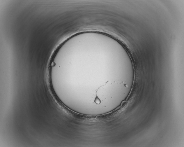 X0000112201517200908281429