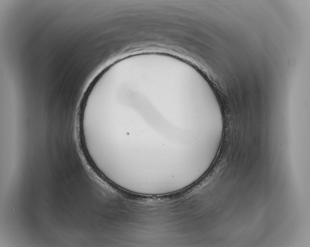 X0000112201518200908281429