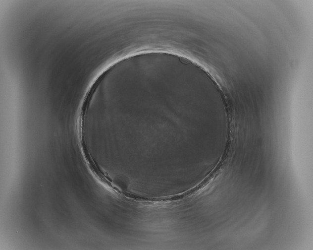 X0000112201519200908281429