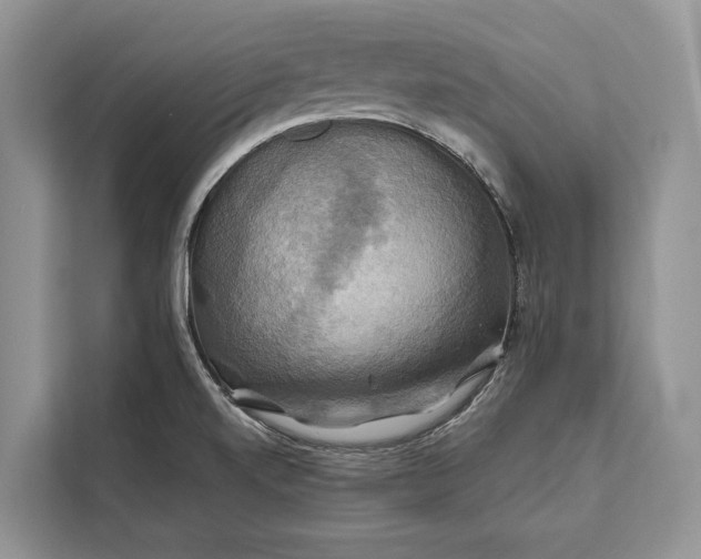 X0000112201520200908281429