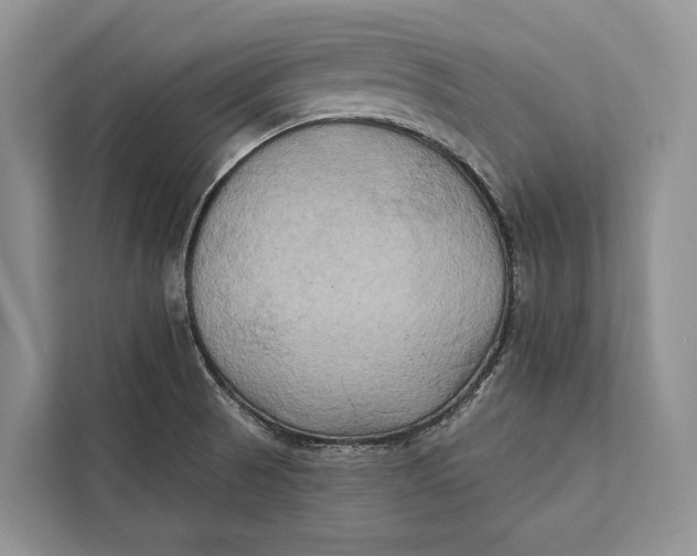 X0000112201521200908281429