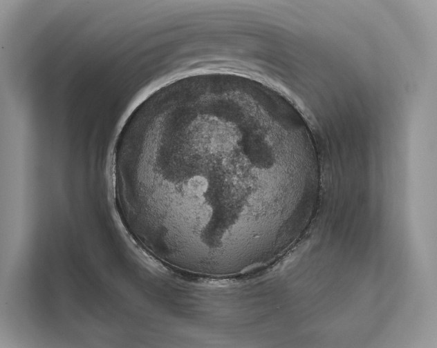 X0000112201522200908281429