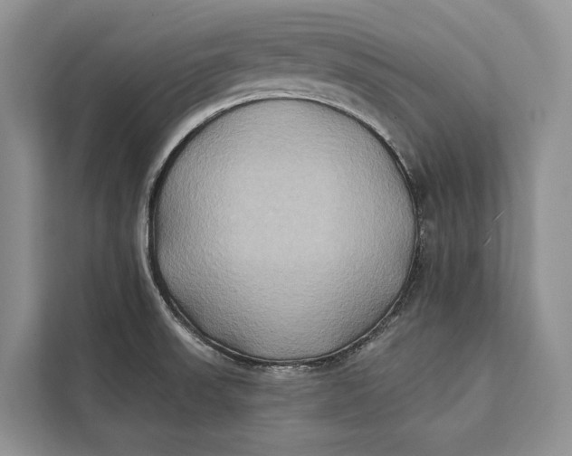 X0000112201523200908281429