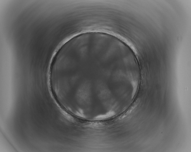 X0000112201525200908281429