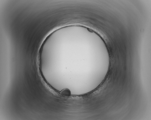 X0000112201526200908281429