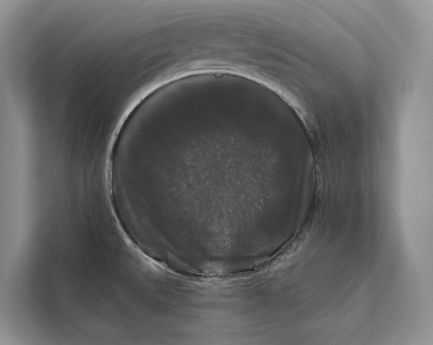 X0000112201527200908281429