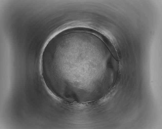 X0000112201528200908281429