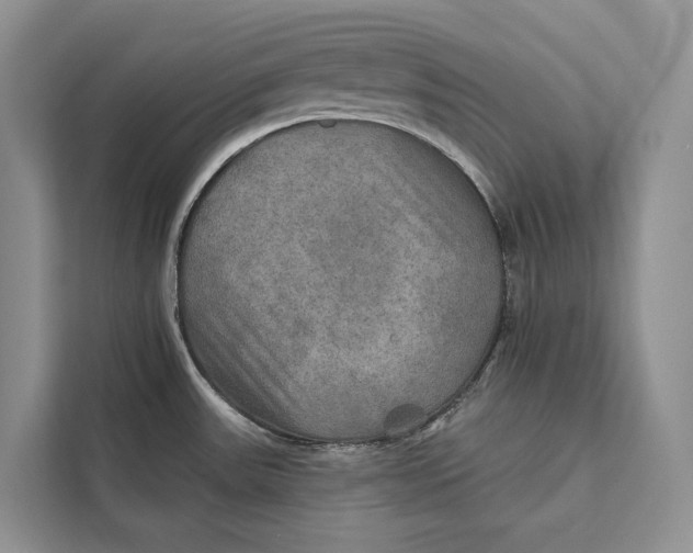 X0000112201531200908281429