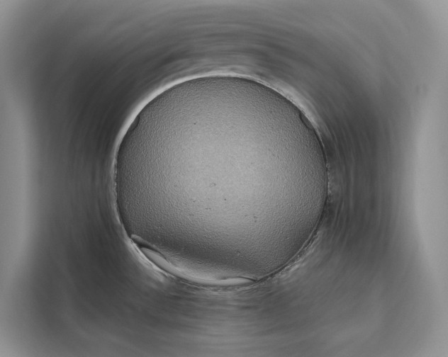 X0000112201532200908281429