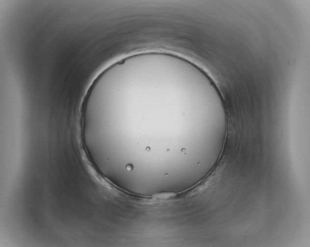 X0000112201534200908281429