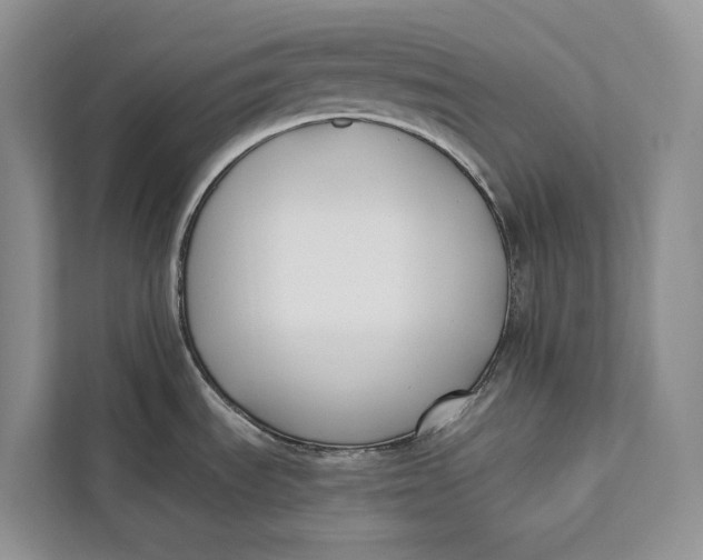 X0000112201535200908281429