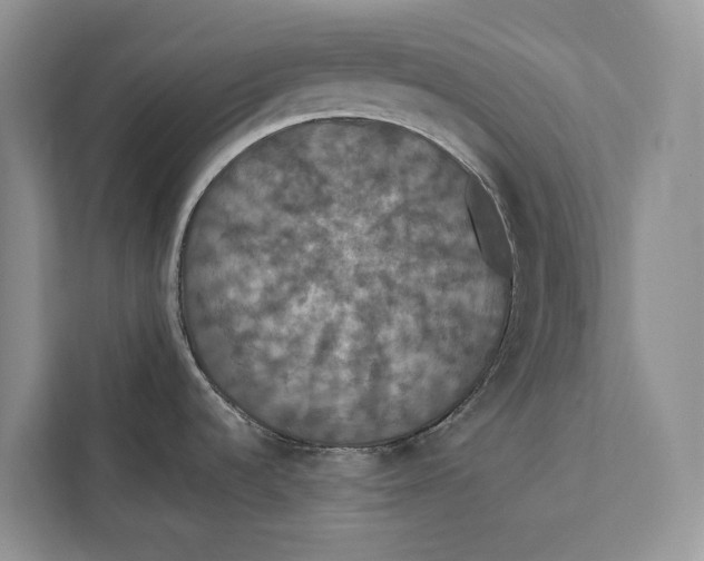 X0000112201536200908281429