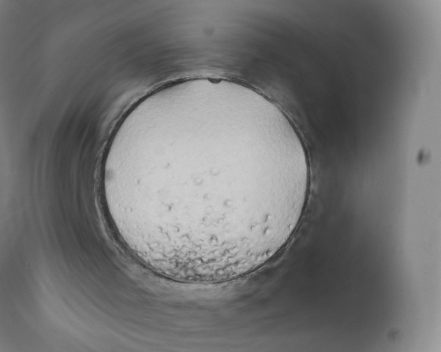 X0000112200001200909041328