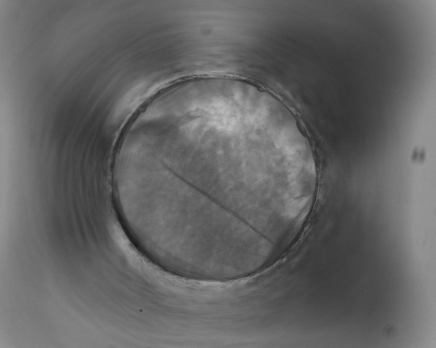 X0000112200002200909041328