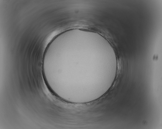 X0000112200003200909041328