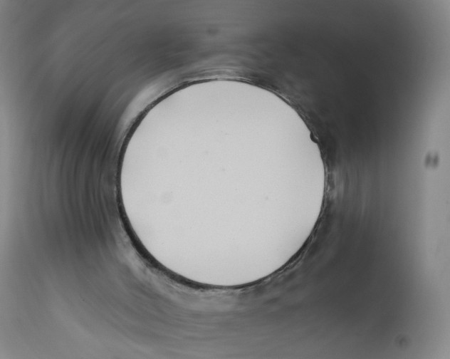 X0000112200004200909041328