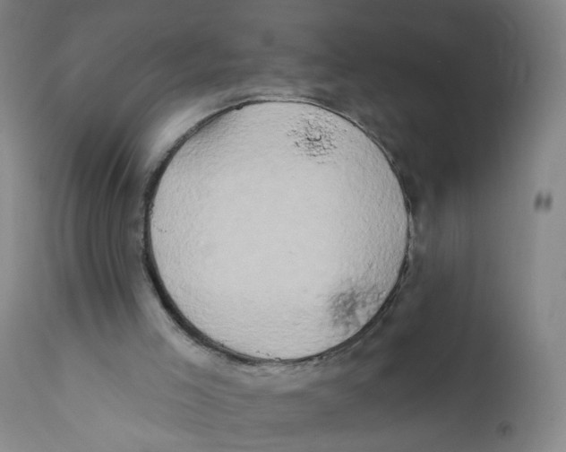 X0000112200005200909041328