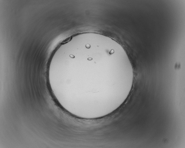 X0000112200006200909041328