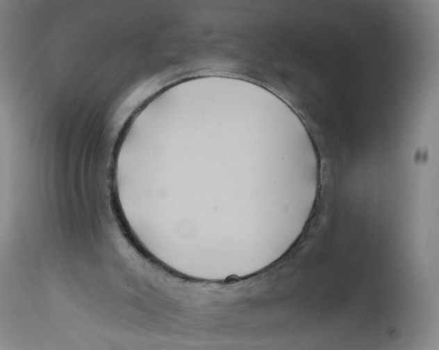 X0000112200007200909041328