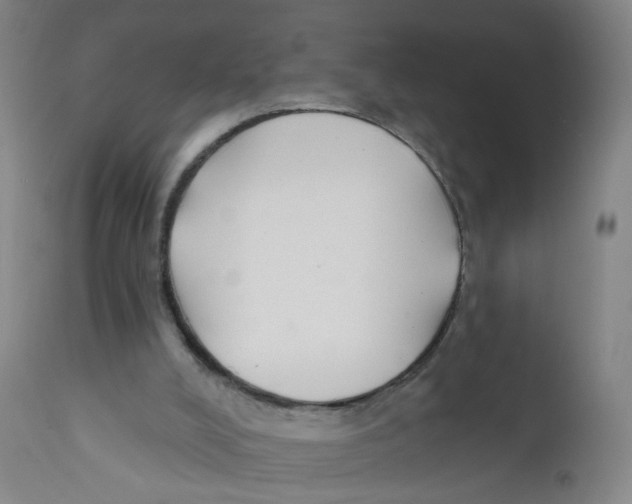 X0000112200008200909041328