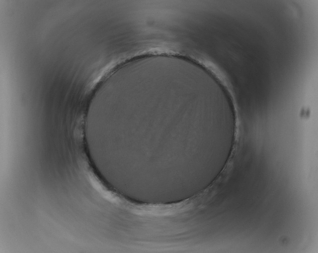 X0000112200009200909041328