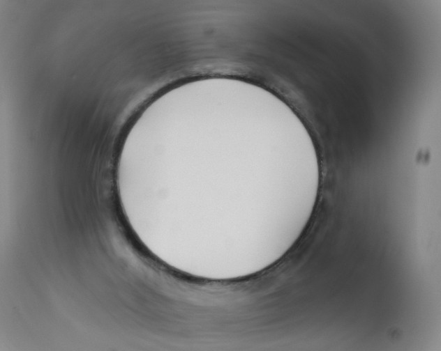 X0000112200012200909041328