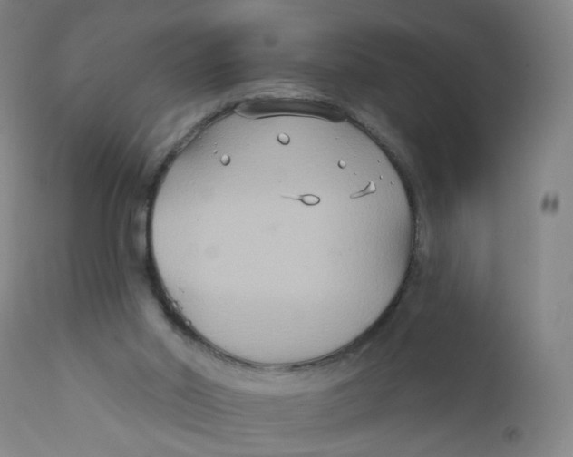 X0000112200014200909041328