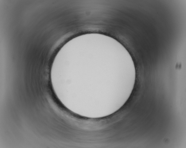 X0000112200016200909041328