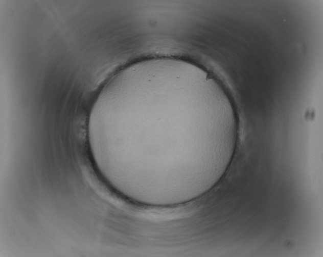 X0000112200017200909041328