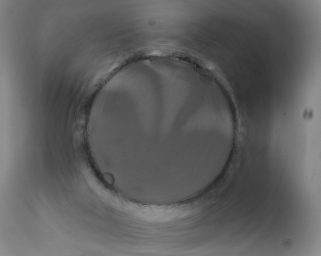 X0000112200018200909041328