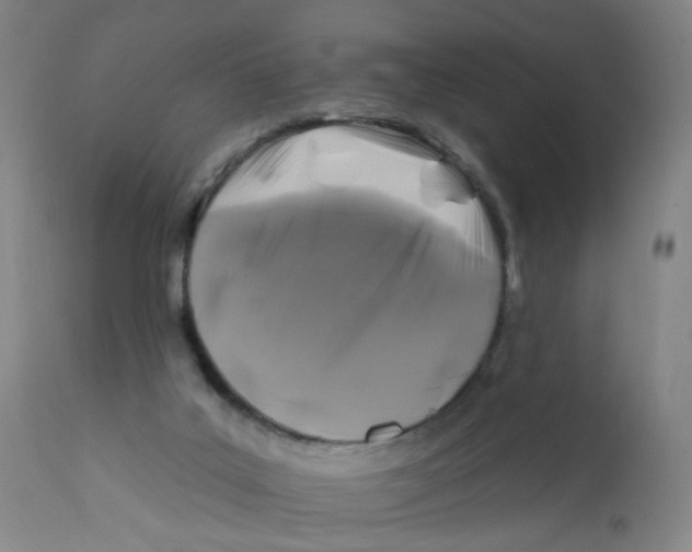 X0000112200019200909041328