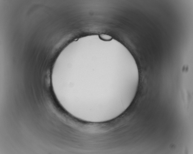X0000112200020200909041328